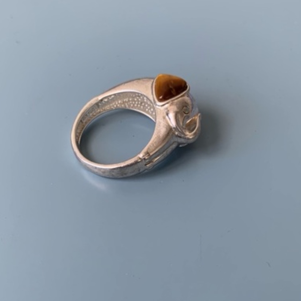 Elephant Ring - image 1
